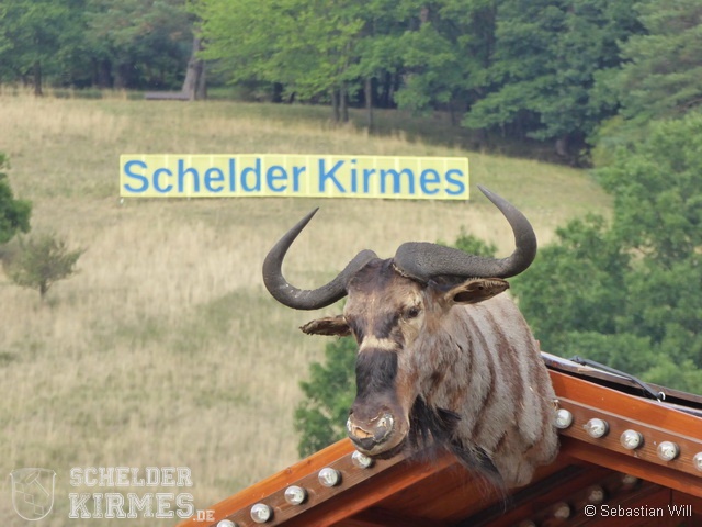 Schelder Kirmes 2015 | Sonntag_74